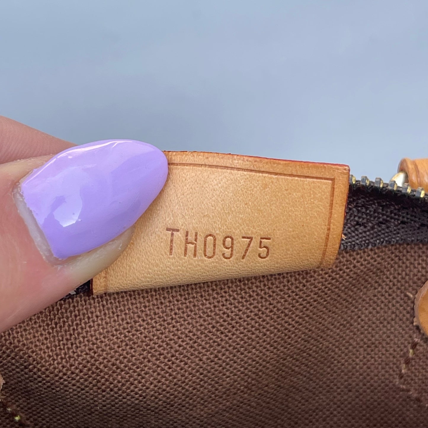 Louis Vuitton monogram nano speedy