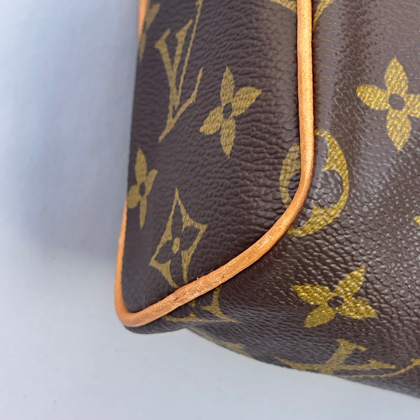 Louis Vuitton monogram nano speedy