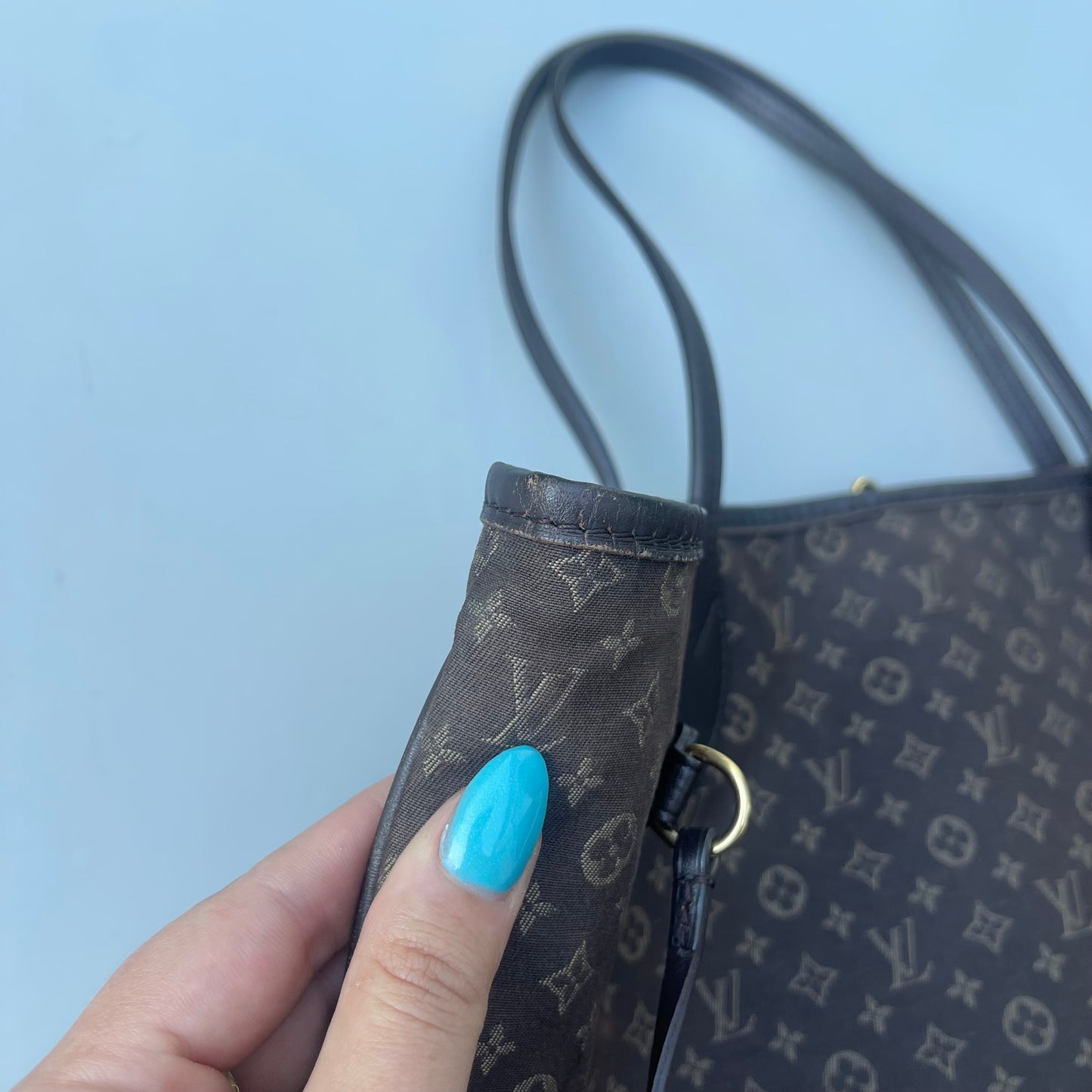 Louis Vuitton mini Lin neverfull MM