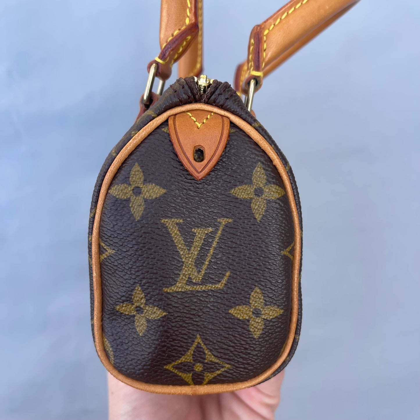 Louis Vuitton monogram nano speedy