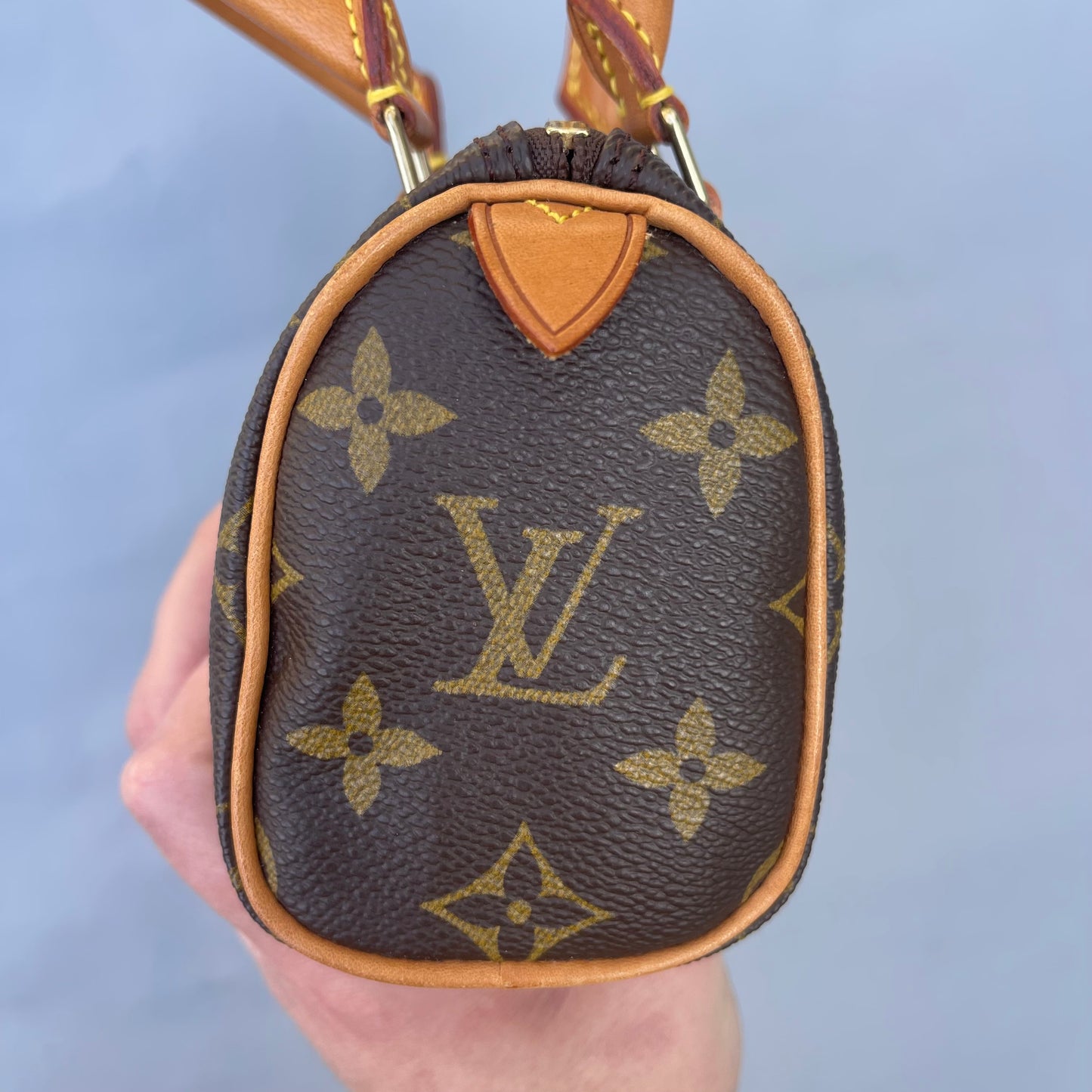 Louis Vuitton monogram nano speedy