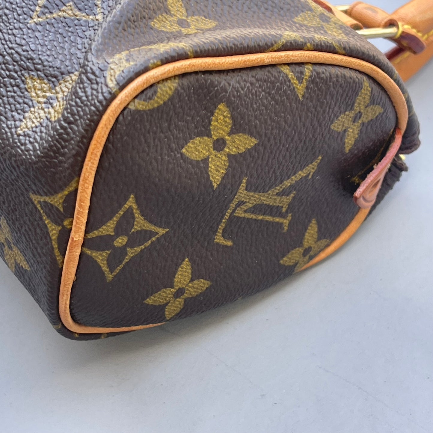 Louis Vuitton monogram nano speedy