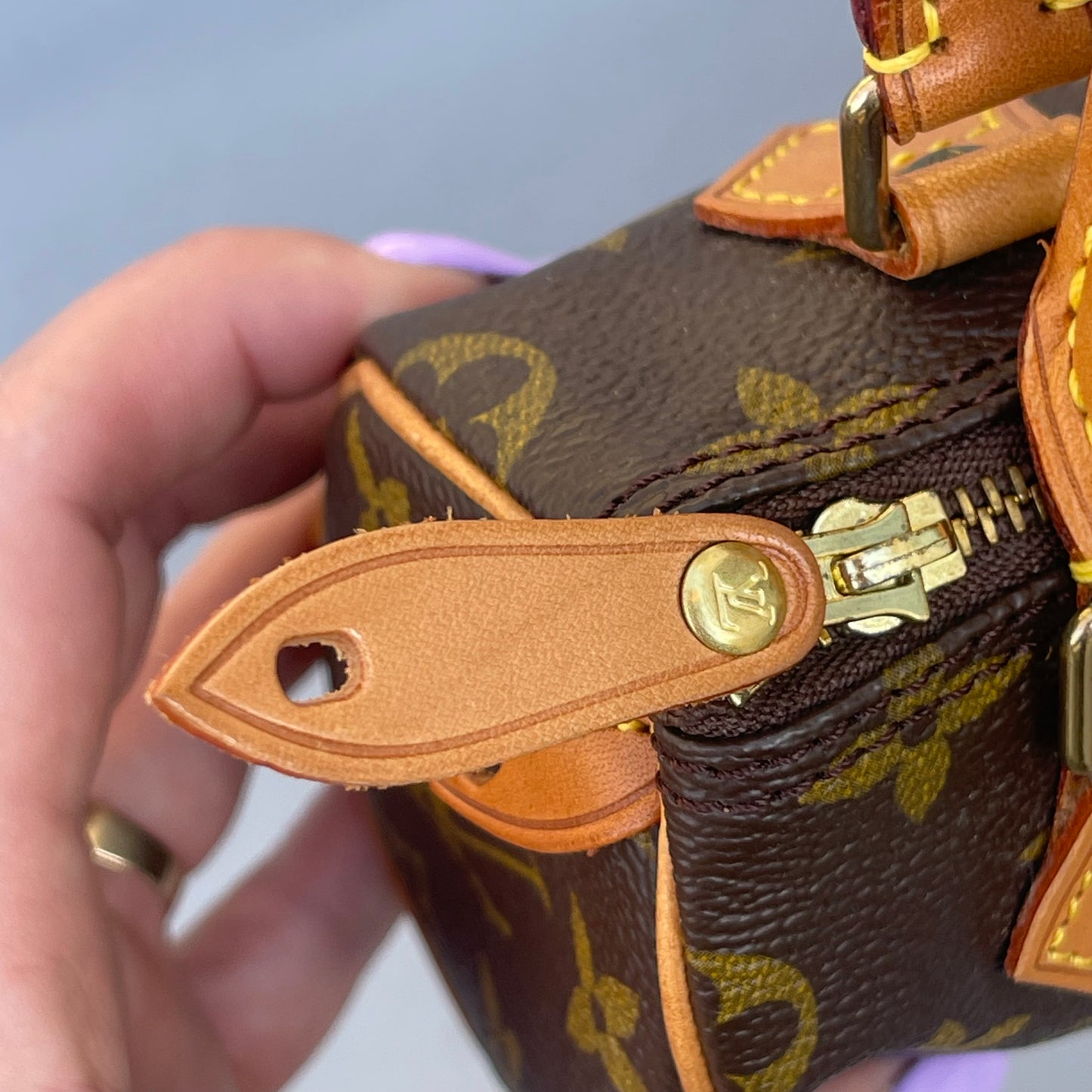 Louis Vuitton monogram nano speedy