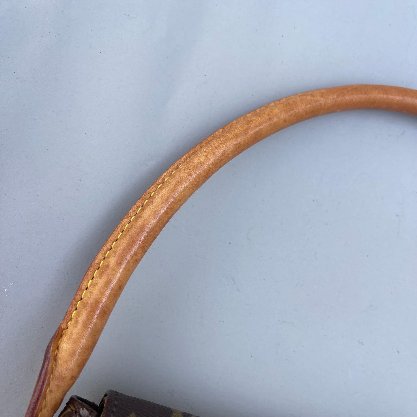Louis Vuitton monogram mini looping